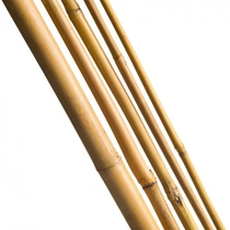 Bambusz növénytámasz 3 db 240 cm natur18/20 mm