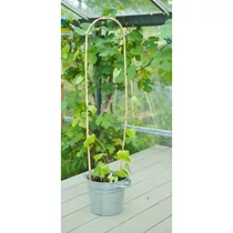 Bambusznád hajlított natúr H120cm Ø12-14mm szet 3 db-os