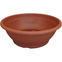 Kaktusztál 25 cm
