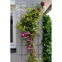 Metal futtató zöld műanyag bevonat 145x57cm