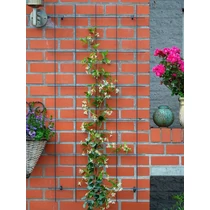 Metal futtató zöld műanyag bevonat 145x72,5cm