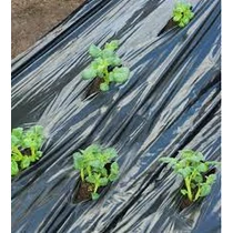 Takarófólia KIS ZÖLDSÉGEKHEZ fekete 20 mikron175x45mm 0,95x5m,ültetési lyukakkal