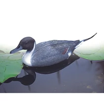 Állatfigura Nyílfarkú réce