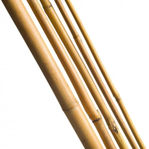 Bambusz növénytámasz 3 db 270 cm natur20/22 mm