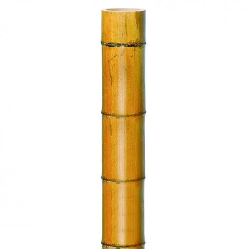 Bambusz növénytámasz vastag 300cm,50/60 mm