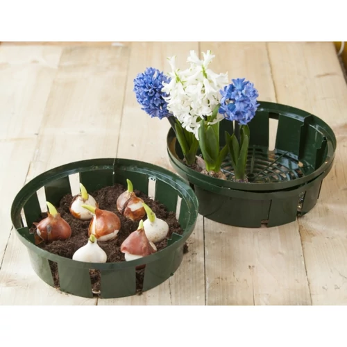 Kosár virághagymákhoz 26 cm, 3db/csomag
