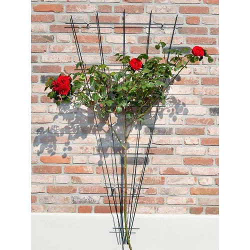 Metal futtató műanyagbevonattal V alakú zöld 145x5/75 cm zöld