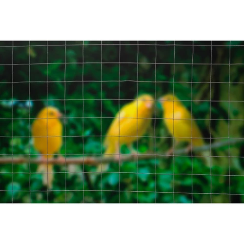 Quadrigal drótkerítés, galvanizált6,4 mm 2,5m x 0,5m