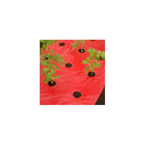Takarófólia PARADICSOMHOZ  piros,  25 mikron 40x80mm-0,95x10m, ültetési lyukakkal